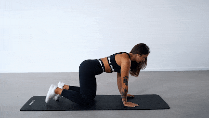 Kako izvajati bird dog?