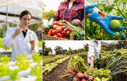 GSO živila: Odrešitev ali grožnja?