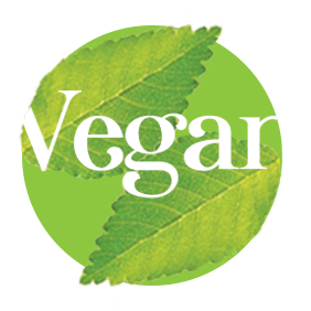 Vegan Wondershake - The Protein Works